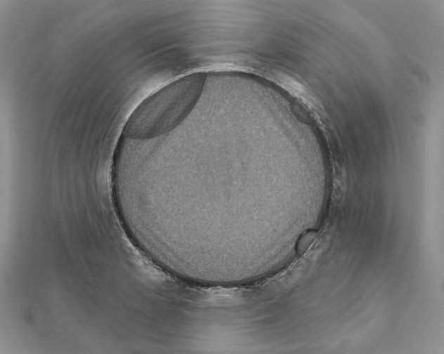 X0000111641181200908281150