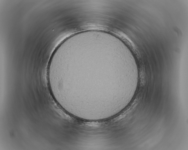 X0000111641182200908281150