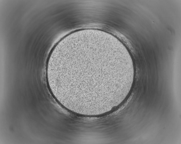 X0000111641184200908281150
