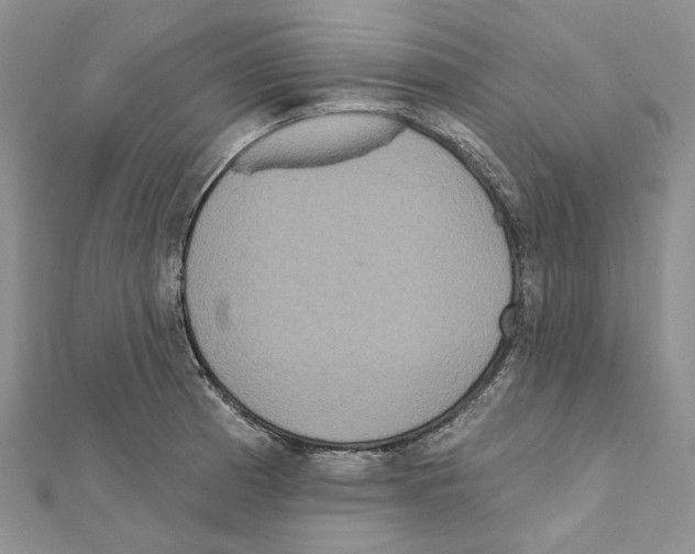 X0000111641185200908281150