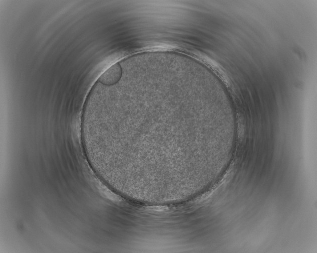 X0000111641186200908281150