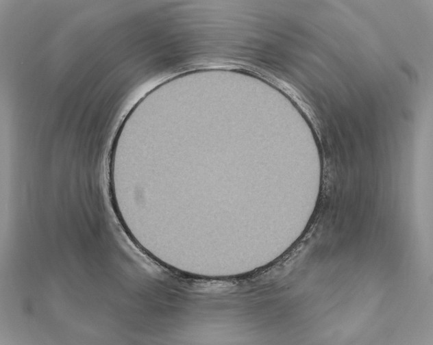 X0000111641187200908281150