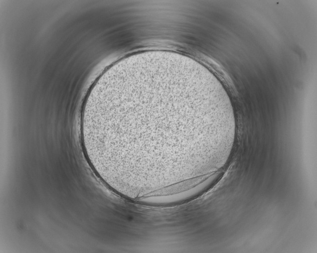 X0000111641188200908281150