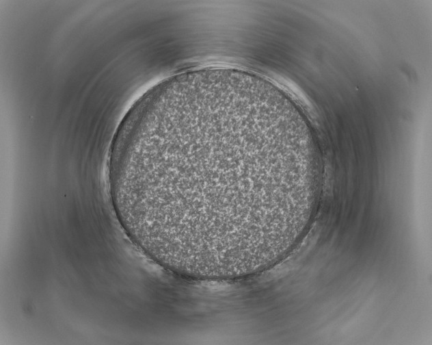 X0000111641190200908281150