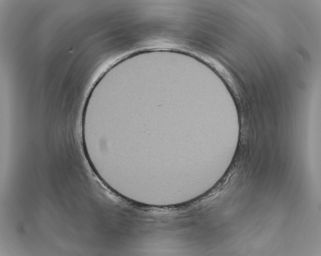 X0000111641191200908281150