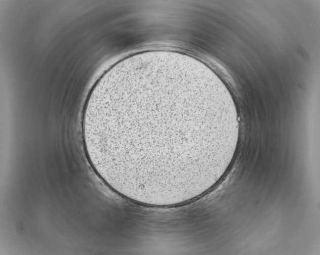 X0000111641192200908281150
