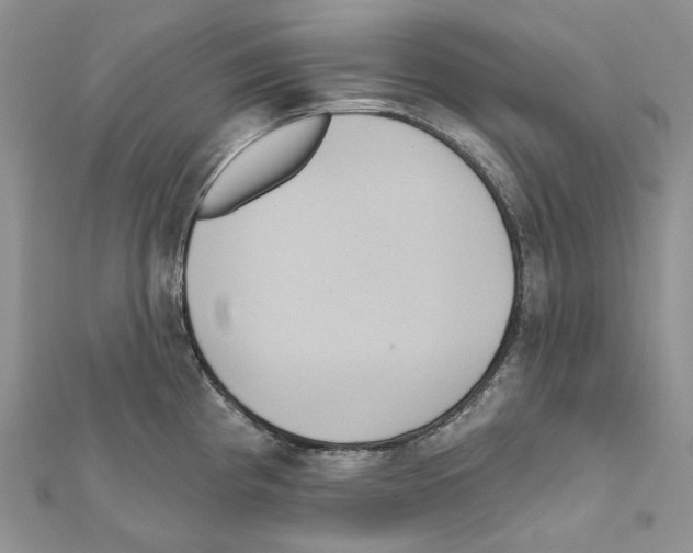 X0000111641193200908281150