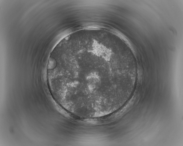 X0000111641194200908281150