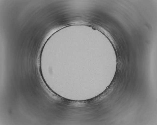 X0000111641195200908281150