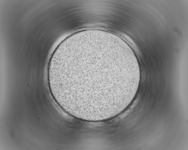 X0000111641196200908281150