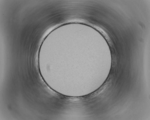 X0000111641199200908281150