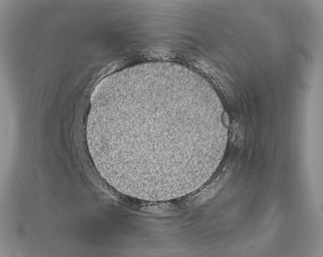 X0000111641201200908281149