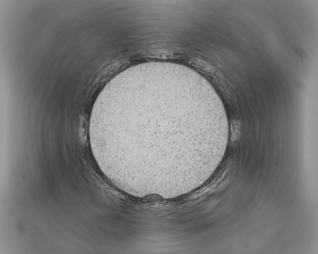 X0000111641202200908281149