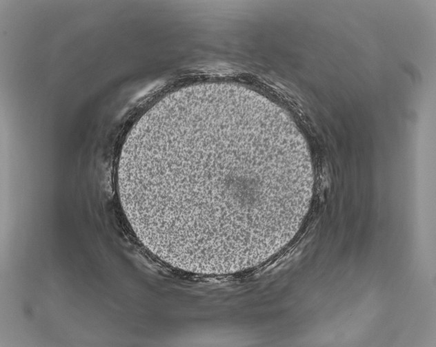 X0000111641205200908281149