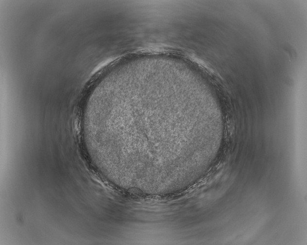 X0000111641206200908281149