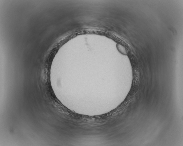 X0000111641207200908281149