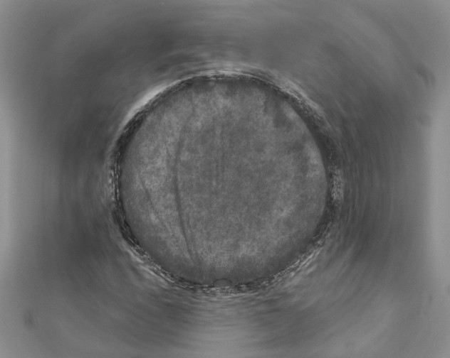 X0000111641208200908281150