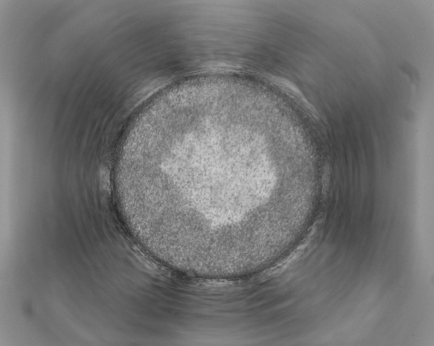 X0000111641209200908281150