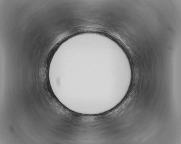 X0000111641211200908281150