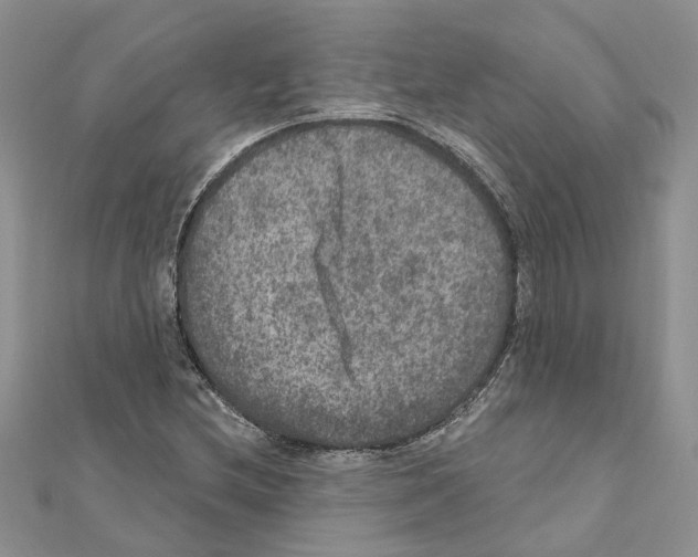 X0000111641212200908281150