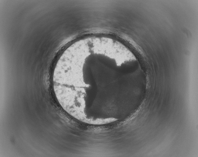 X0000111641213200908281150
