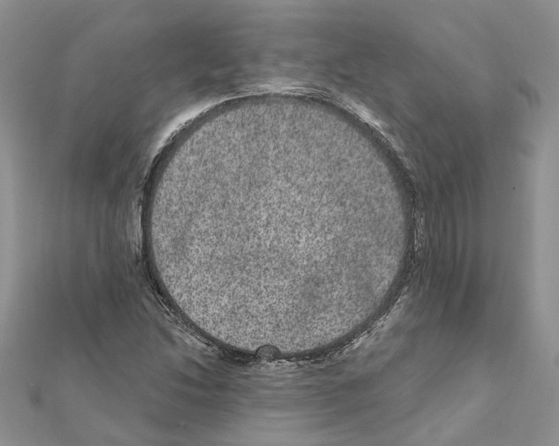 X0000111641214200908281150