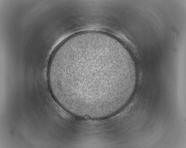 X0000111641216200908281150