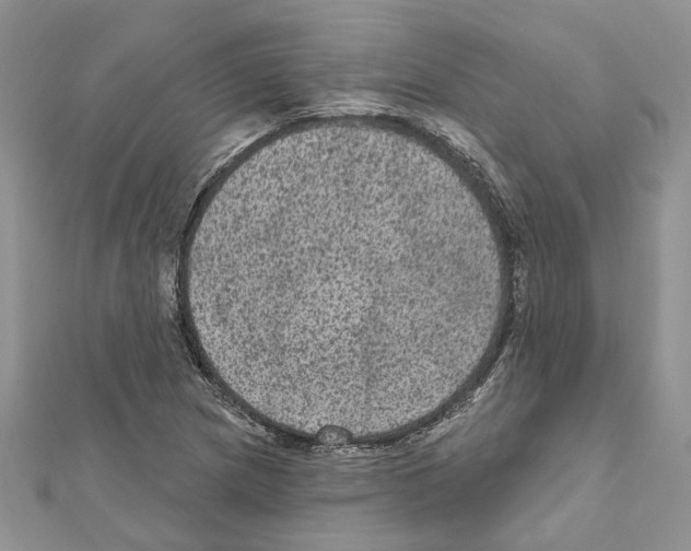 X0000111641217200908281150