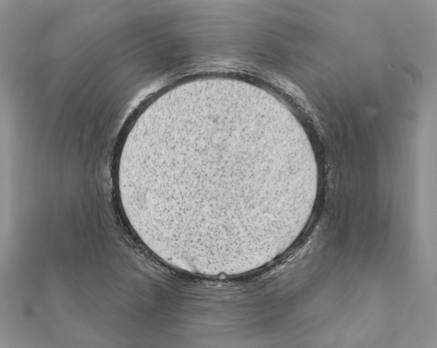 X0000111641218200908281150