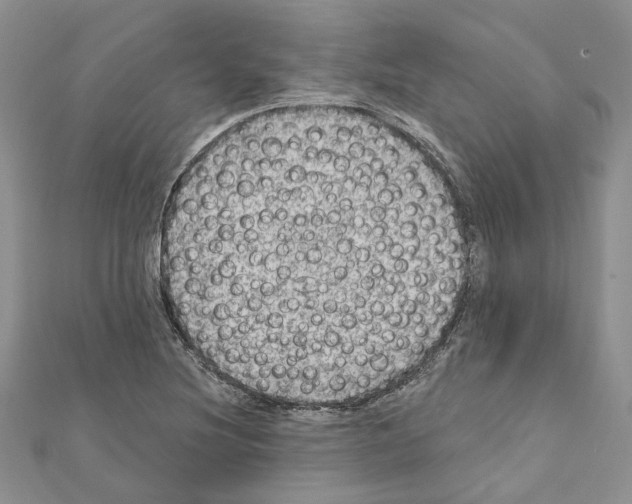 X0000111641220200908281150