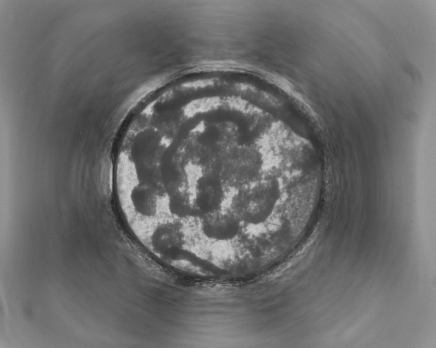 X0000111641221200908281150
