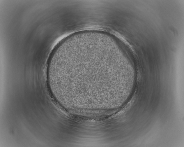 X0000111641222200908281150