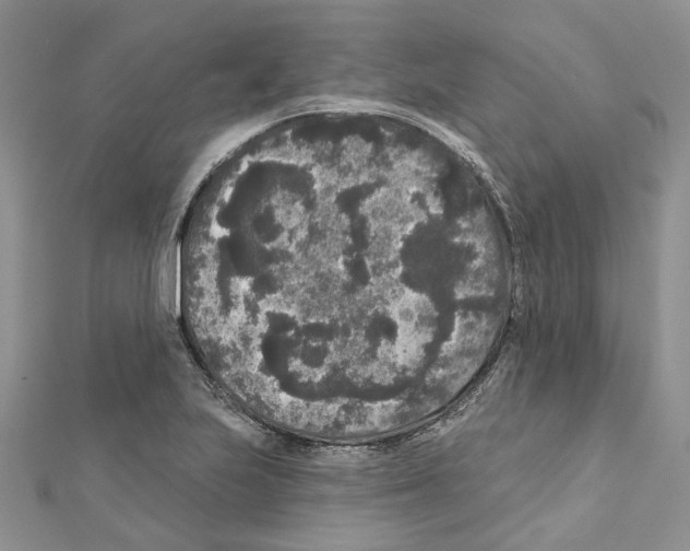X0000111641223200908281150