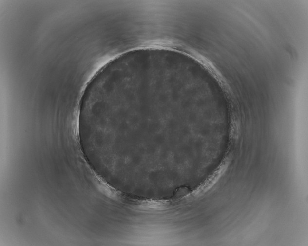 X0000111641224200908281150