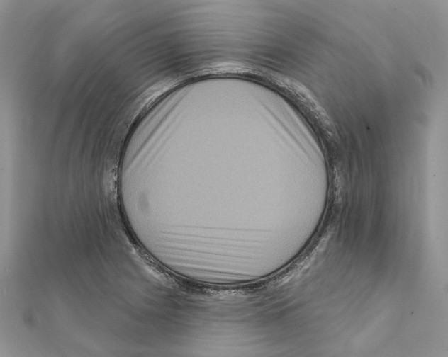 X0000111641225200908281150