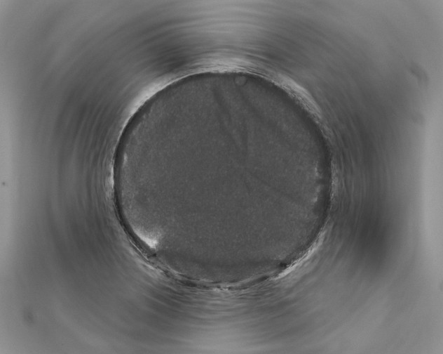 X0000111641226200908281150