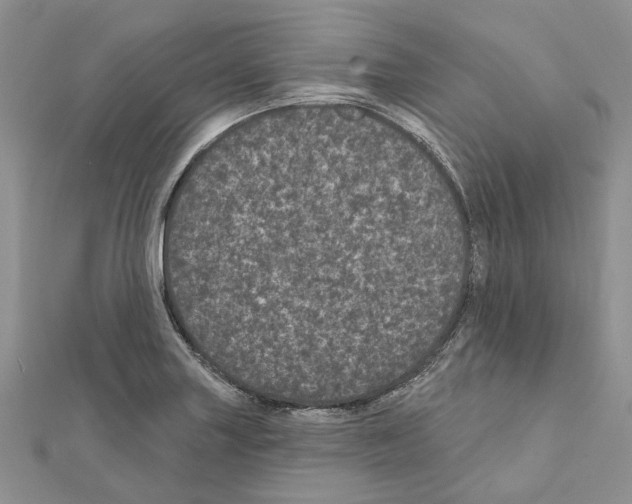 X0000111641227200908281150