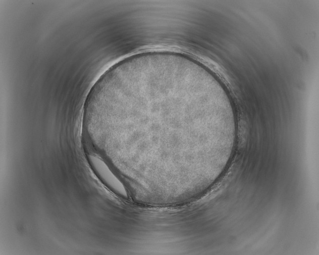X0000111641228200908281150