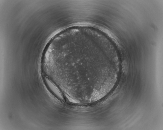 X0000111641229200908281150