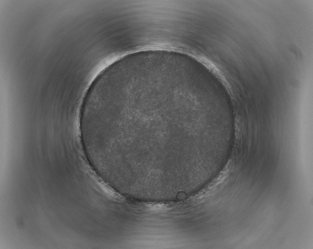 X0000111641230200908281150
