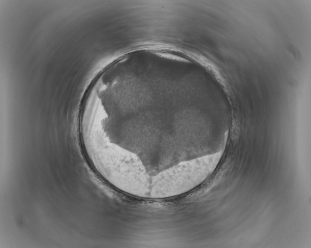 X0000111641231200908281150