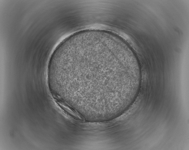 X0000111641232200908281150