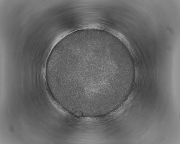 X0000111641234200908281150