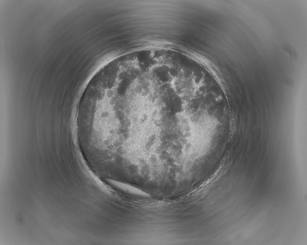 X0000111641235200908281150