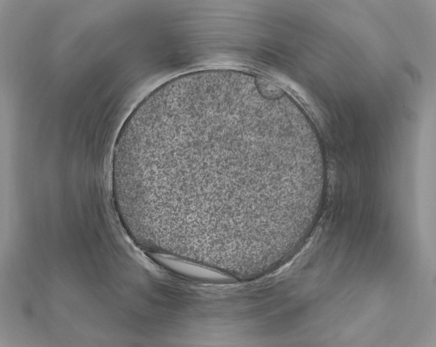 X0000111641236200908281150