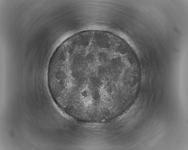 X0000111641237200908281150
