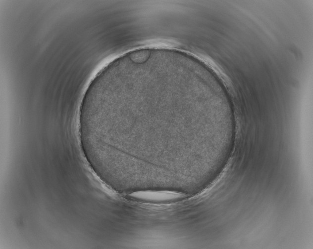 X0000111641240200908281150