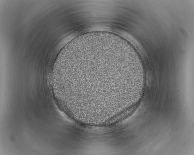X0000111641241200908281150