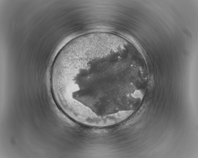 X0000111641243200908281150