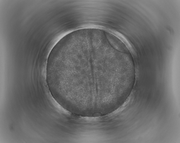 X0000111641244200908281150